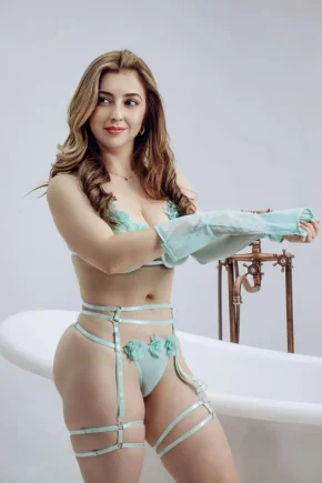 Sarfa full service companion